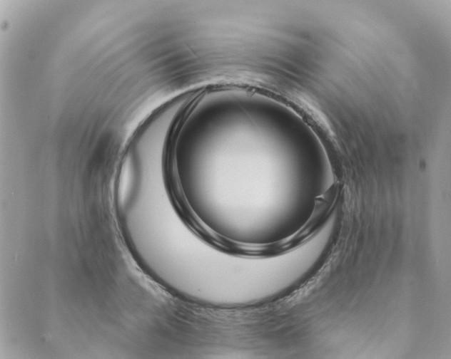 X0000089930936200706291154