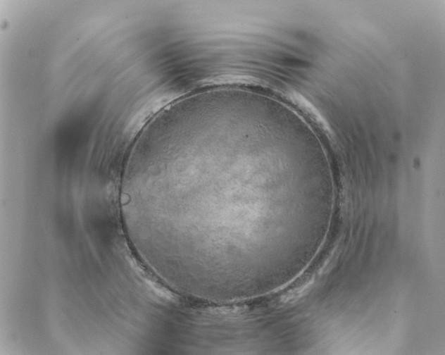 X0000089930937200706291154