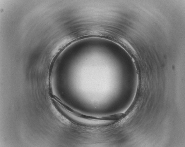 X0000089930938200706291154