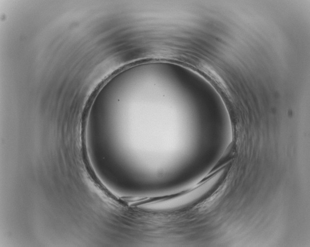 X0000089930939200706291154