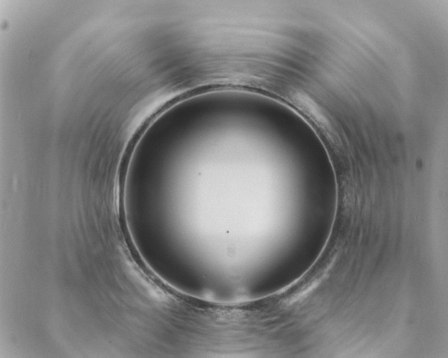 X0000089930940200706291154