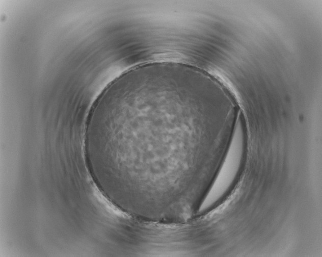 X0000089930941200706291154