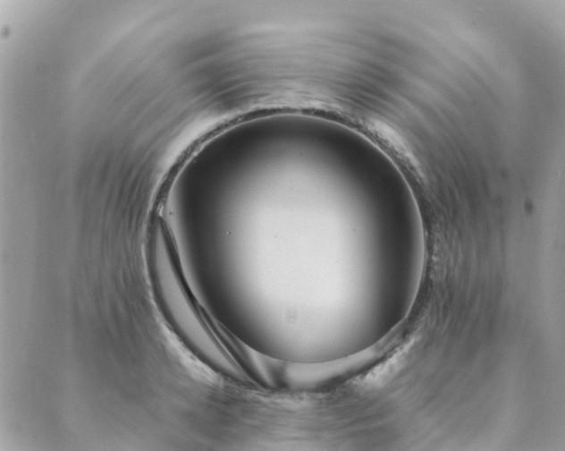 X0000089930942200706291154