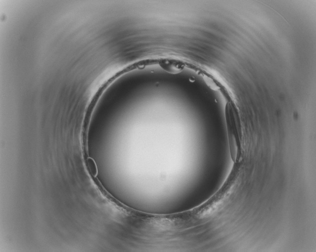 X0000089930943200706291154