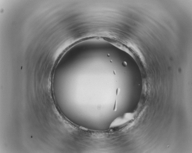 X0000089930944200706291154