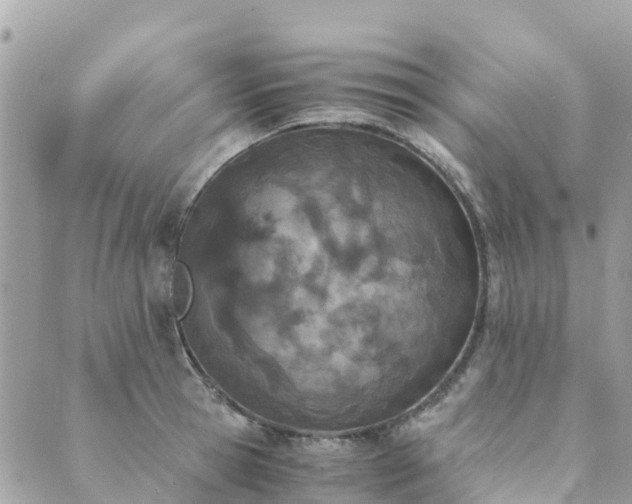 X0000089930945200706291154