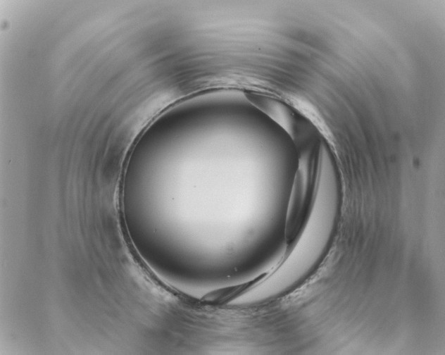 X0000089930946200706291154