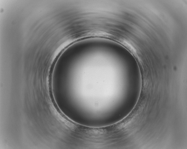 X0000089930947200706291154