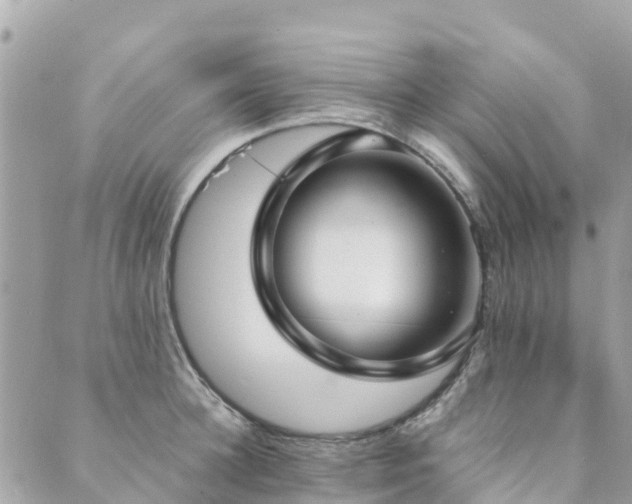 X0000089930948200706291154