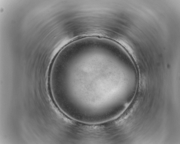 X0000089930949200706291154