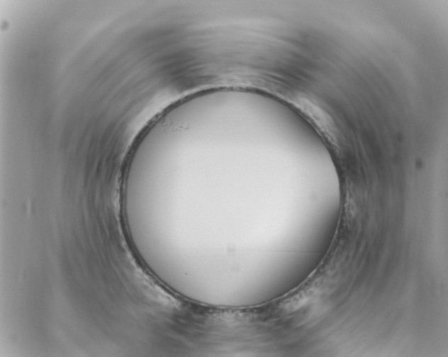 X0000089930950200706291154