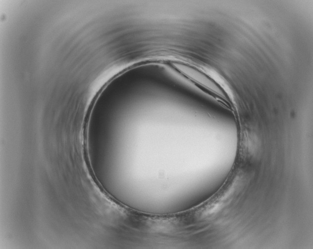 X0000089930951200706291154