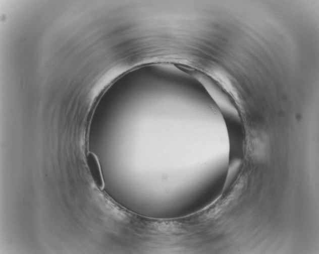 X0000089930952200706291154