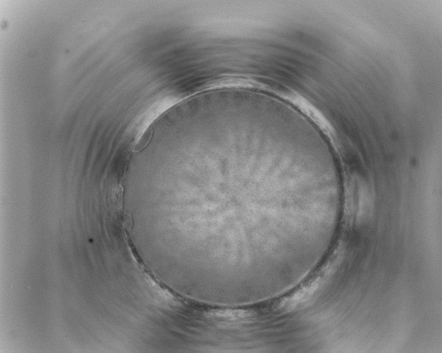 X0000089930953200706291154