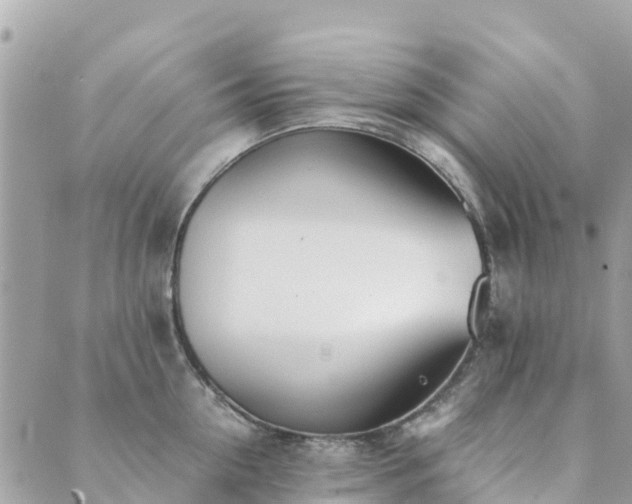 X0000089930954200706291154