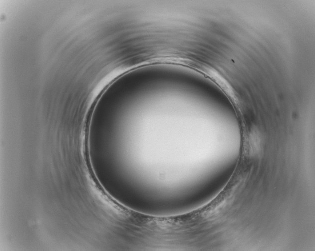 X0000089930955200706291154