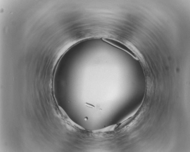 X0000089930956200706291154