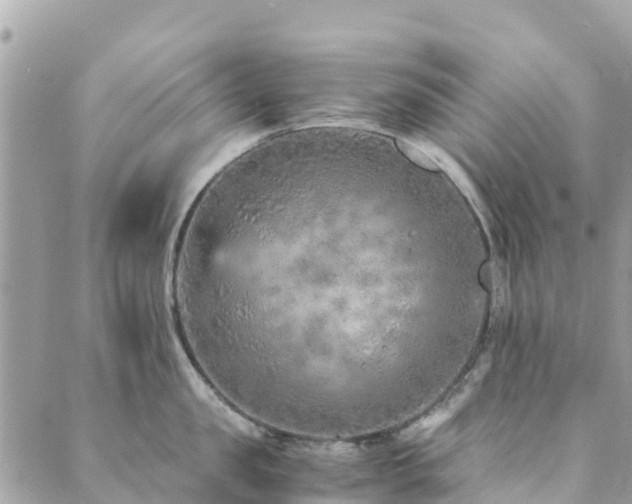 X0000089930957200706291154