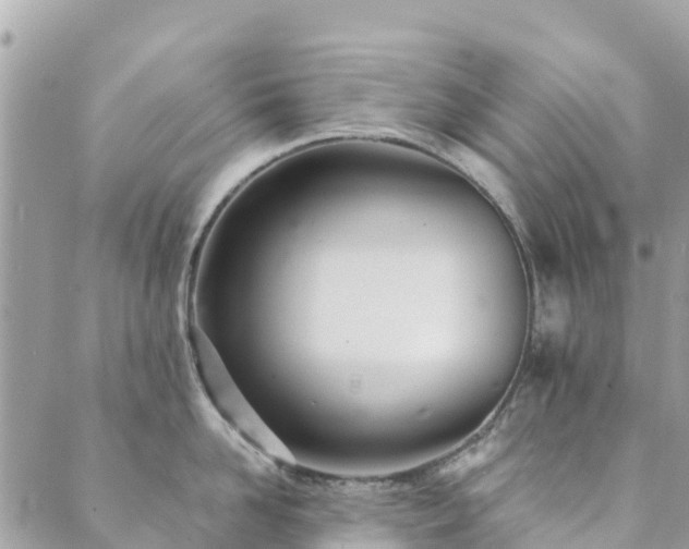 X0000089930958200706291154