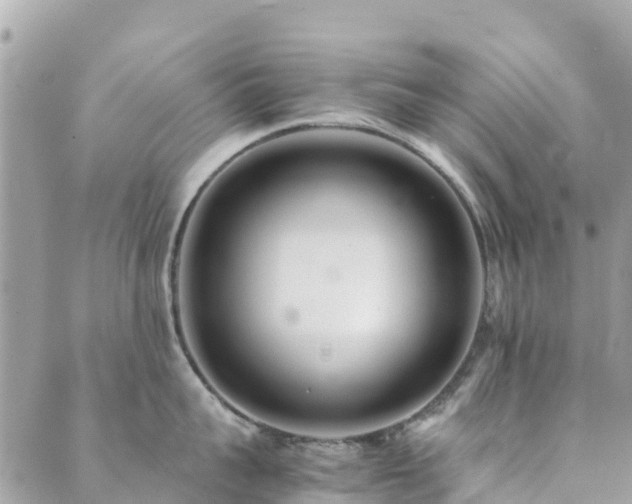 X0000089930959200706291154