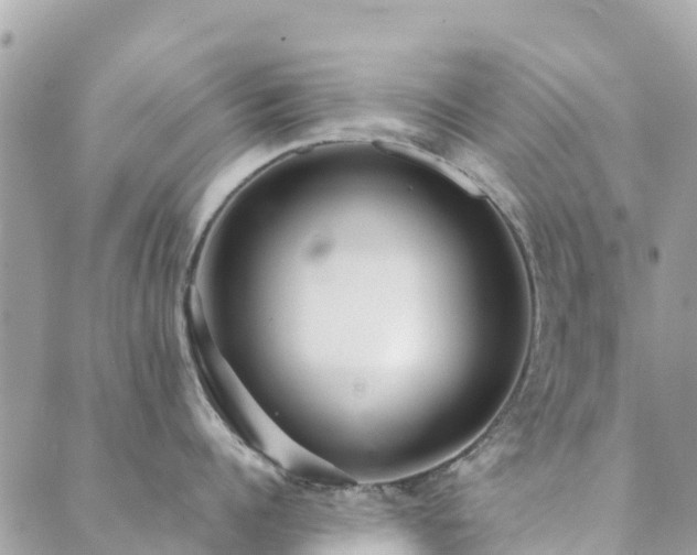 X0000089930960200706291154