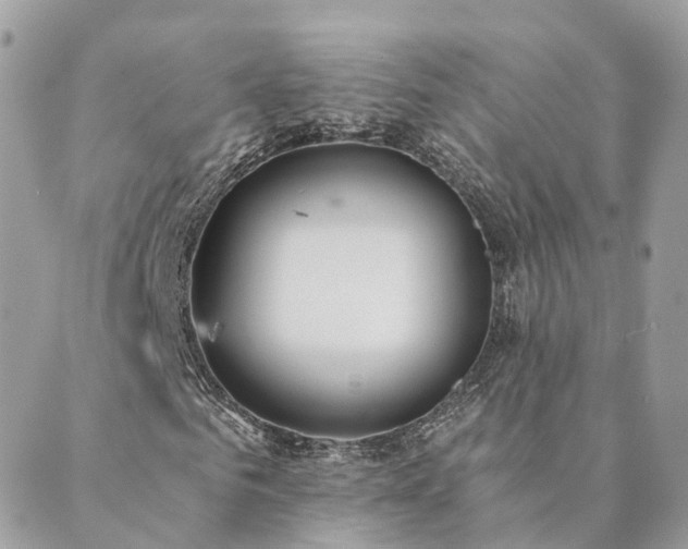 X0000089930961200706291154