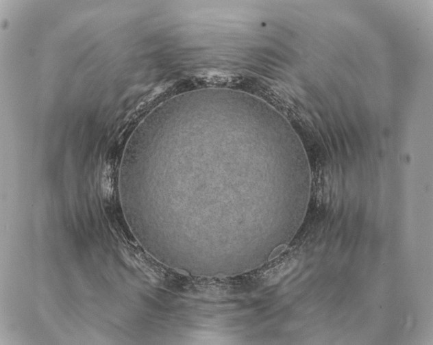 X0000089930962200706291154