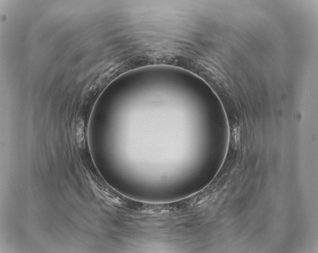 X0000089930963200706291154