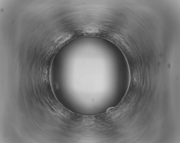 X0000089930964200706291153