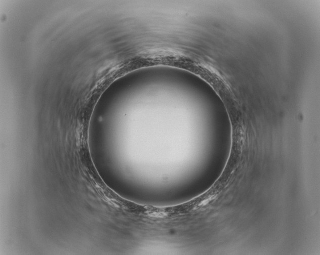 X0000089930965200706291153