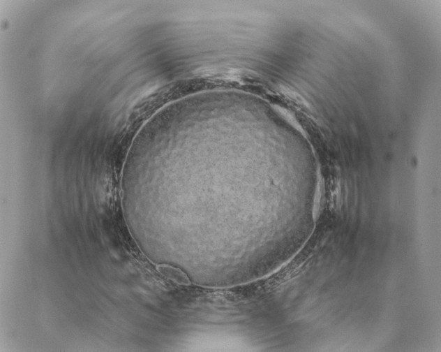 X0000089930966200706291153