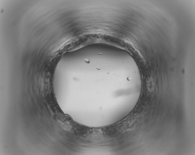 X0000089930968200706291153