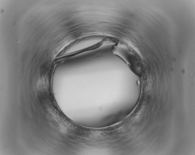 X0000089930969200706291153