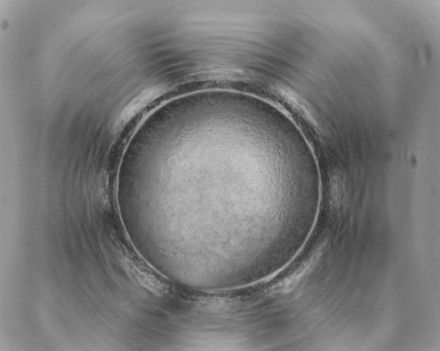 X0000089930970200706291153