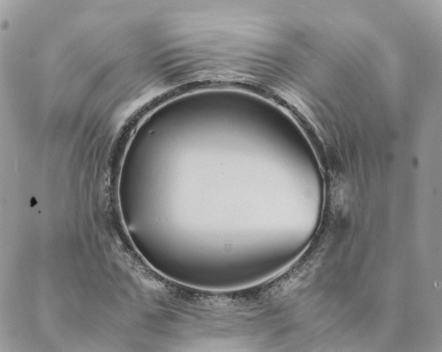 X0000089930971200706291153