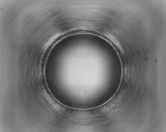 X0000089930972200706291153