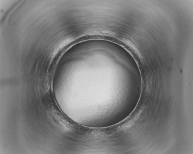 X0000089930974200706291153