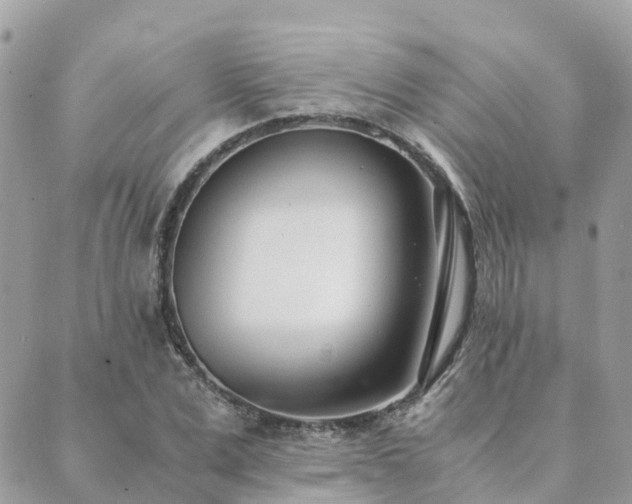 X0000089930975200706291153