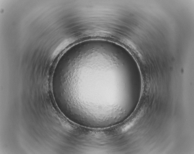 X0000089930978200706291153