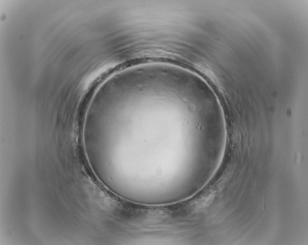 X0000089930979200706291153