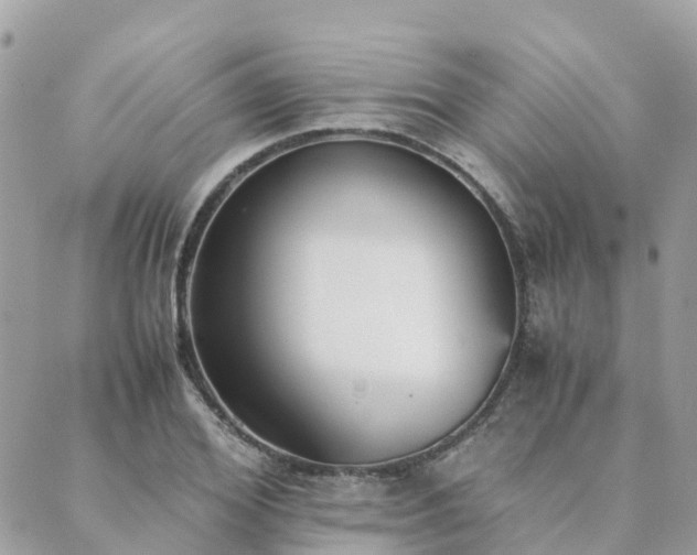 X0000089930980200706291153