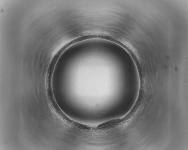 X0000089930983200706291153