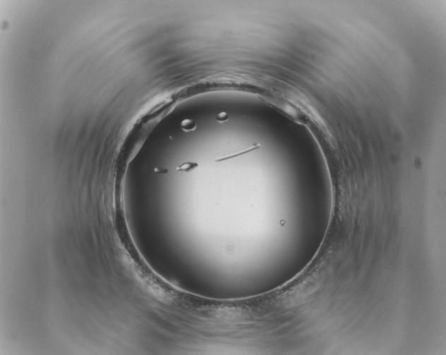 X0000089930984200706291153