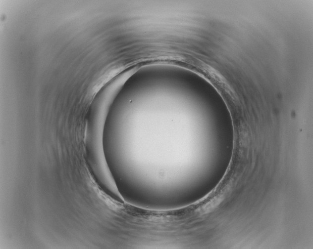 X0000089930985200706291153