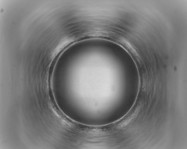 X0000089930986200706291153