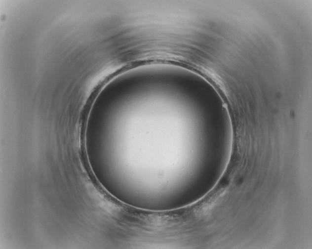 X0000089930987200706291153