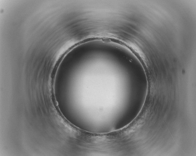 X0000089930990200706291153