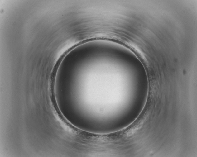 X0000089930991200706291153