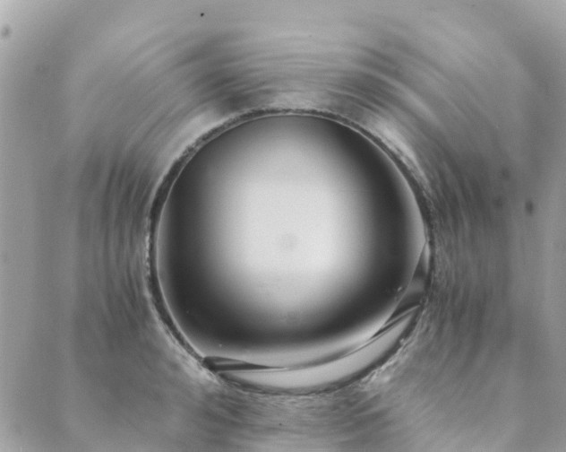 X0000089930992200706291153