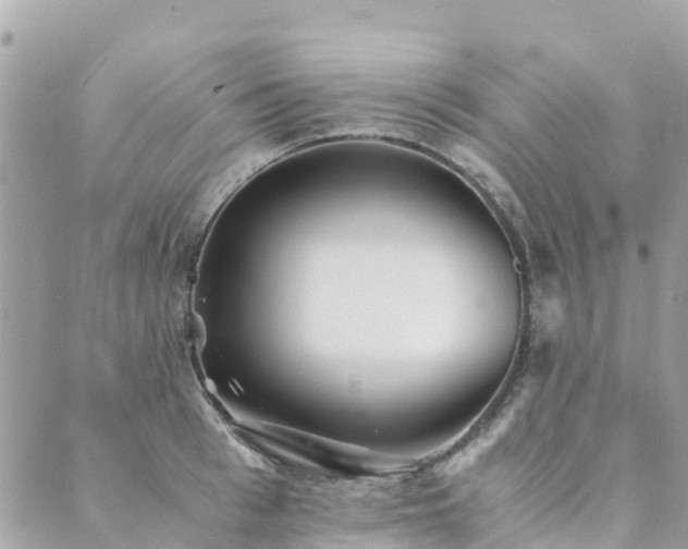 X0000089930993200706291153